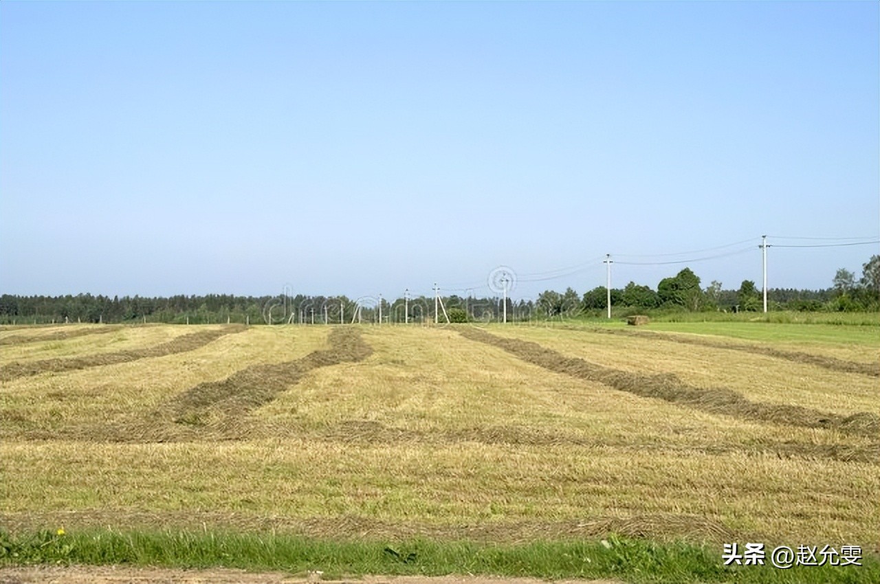 农村放宽这6大政策你知道吗,关于农村政策问题在哪里能了解到