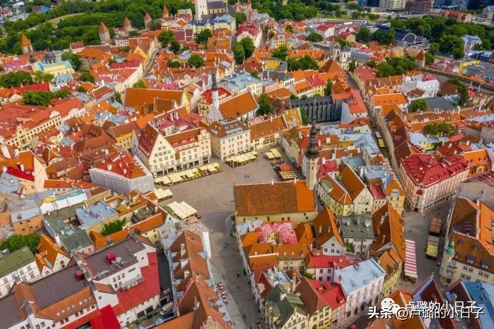 7部让你想走就走的旅行电影,吐血推荐8部关于旅行的电影