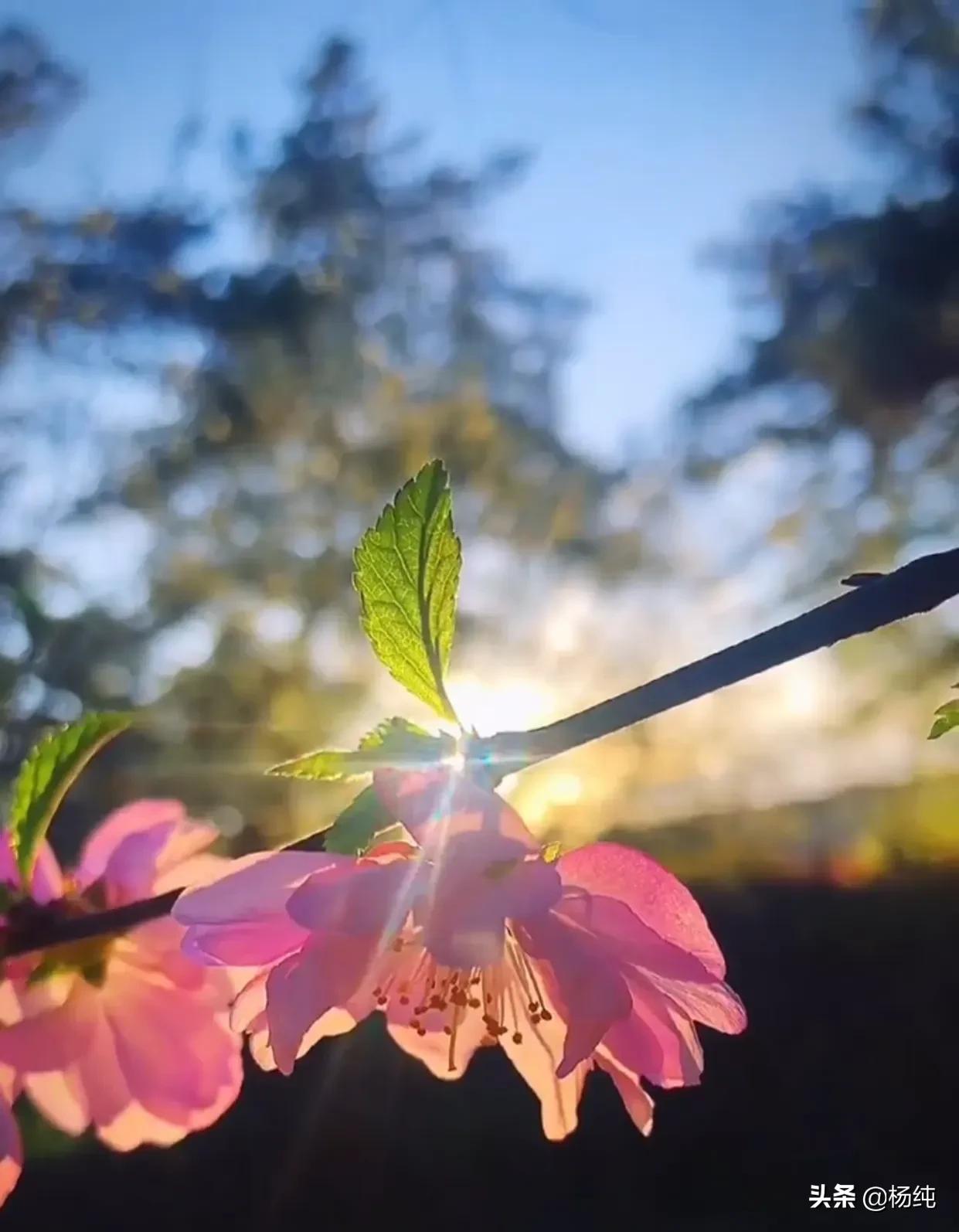 谈谈助力高考作文杨纯/文