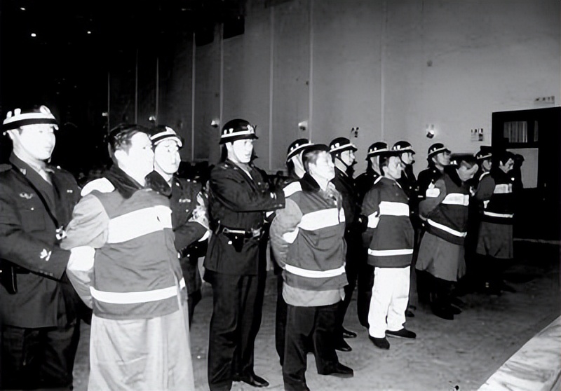 雇凶杀官的李长河,河南省平顶山李长河案件