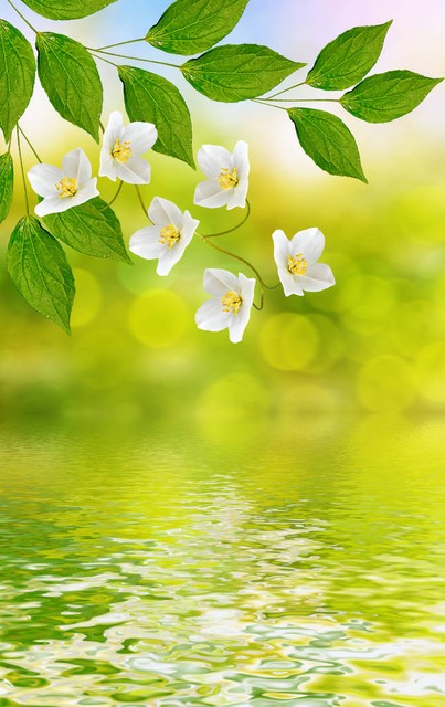 当女人接受你的钱和礼物代表什么,当一个女人要求你给她隐私和尊重