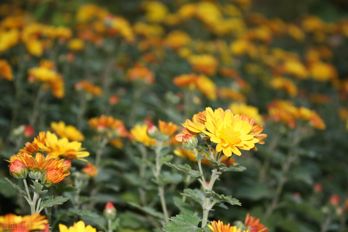 愿你今后的人生顺心顺意健康快乐,祝愿每个人都有幸福的生活状态