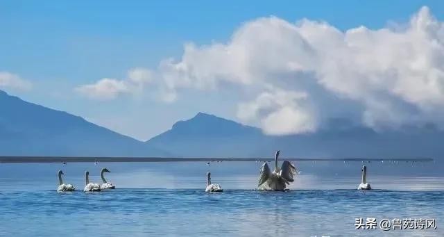 赚取流量的方式都有哪些,博取流量的手段有啥