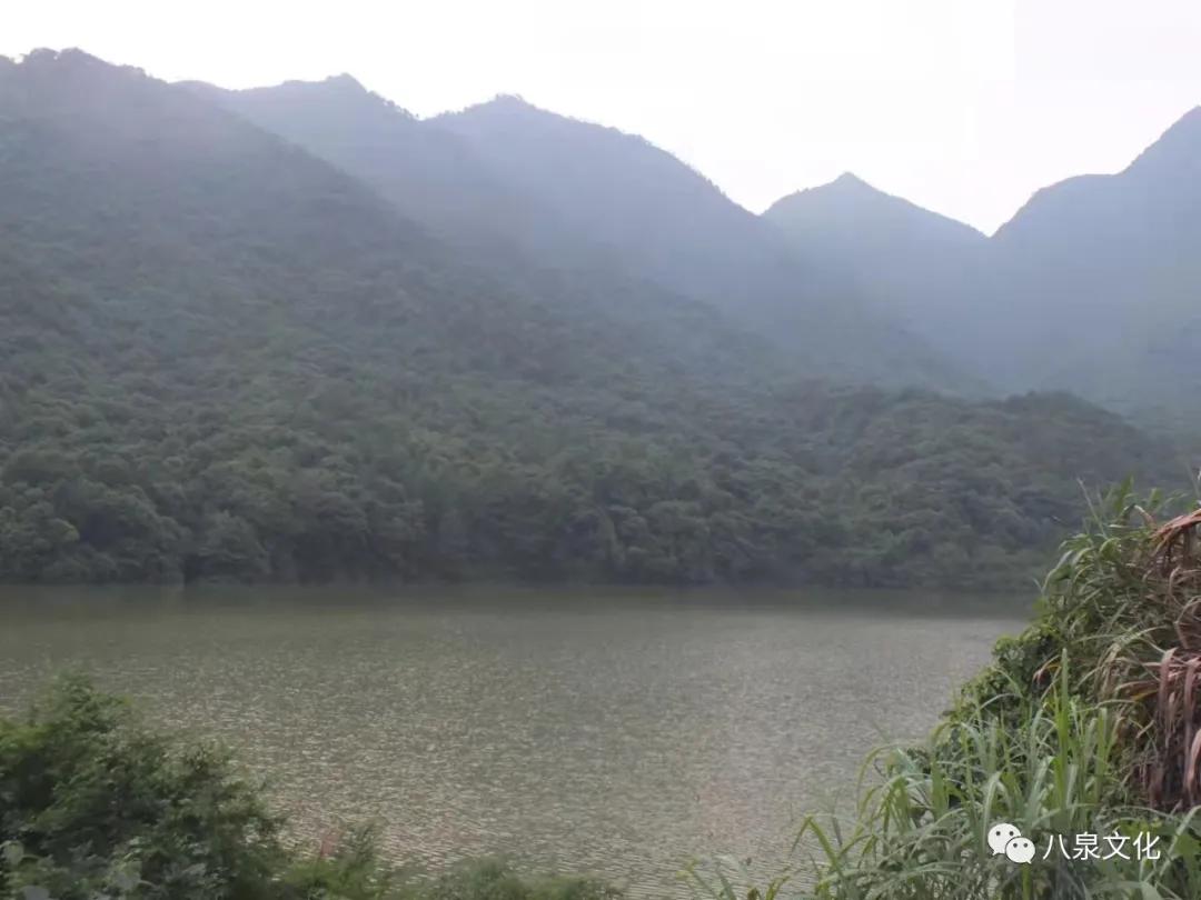 韶关翁城县美食,韶关翁源翁城客家特产双蒸地窖酒