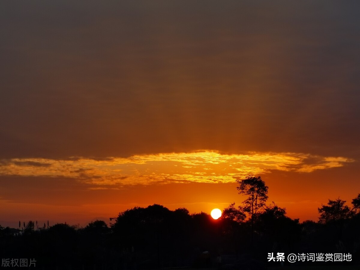 李清照晚年愁苦的原因,对李清照一生的总结