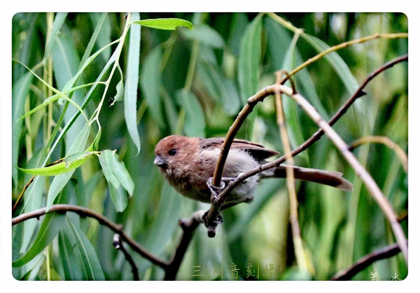 上海市嘉定区安亭国际汽车城,上海嘉定安亭国际汽车城
