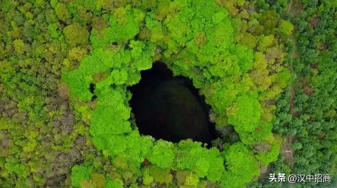 投资旅游项目合作方案,投资项目2024