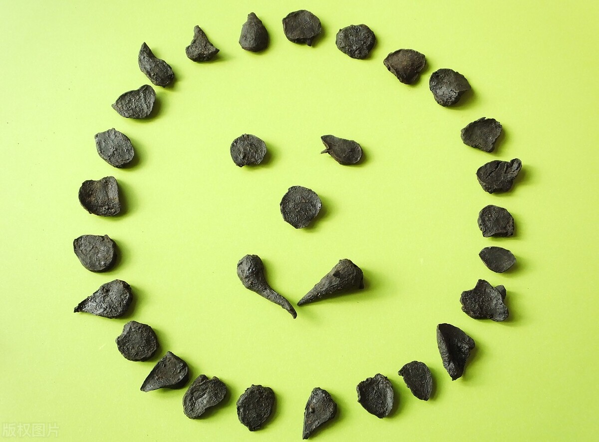 肾阳虚，尿频？5味中药，补肾阳，暖肾元，固精缩尿