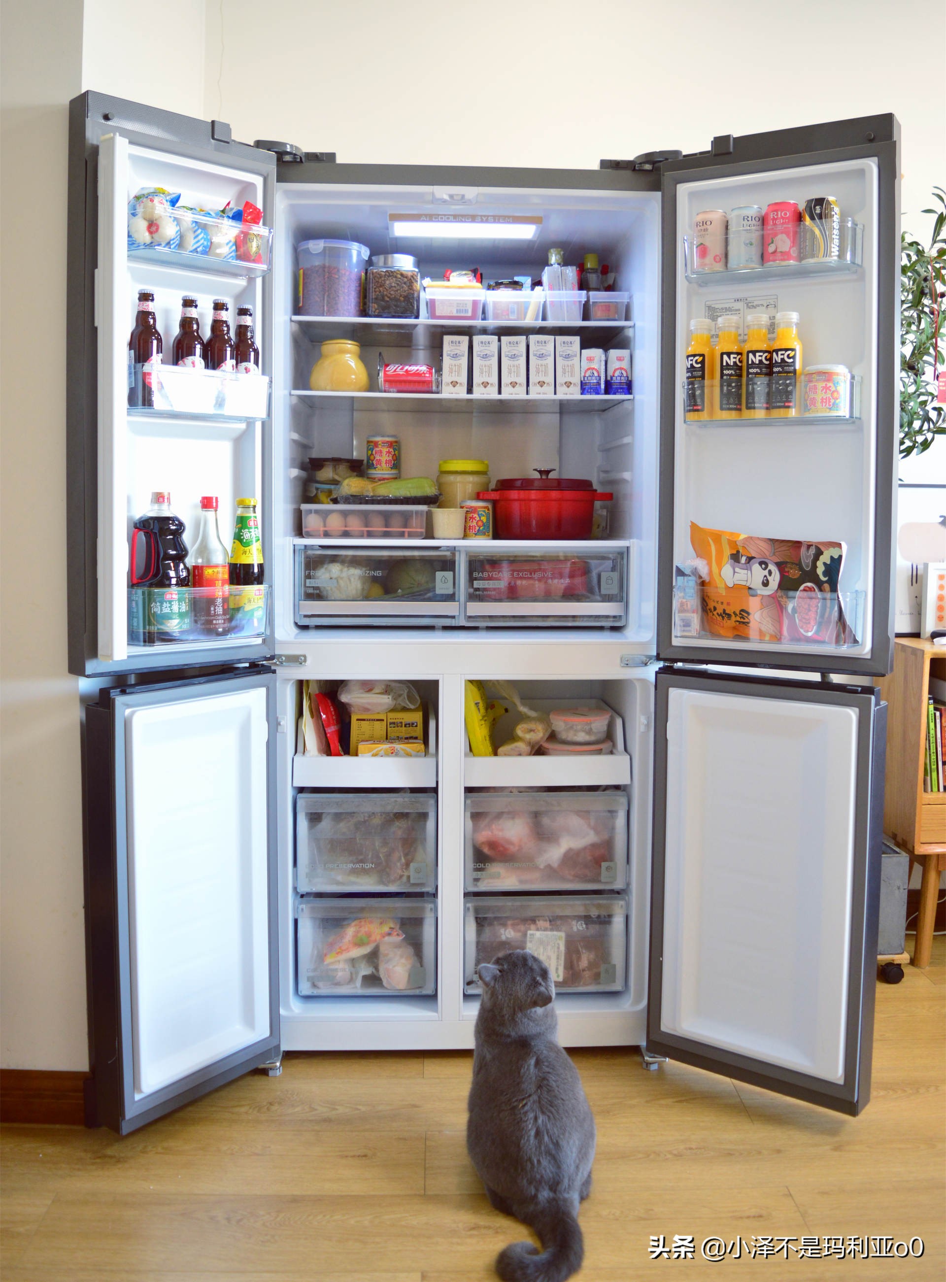 看懂冰箱参数选购合适的冰箱,2022冰箱最全选购