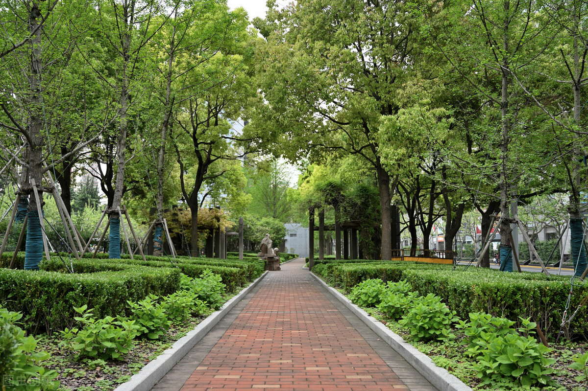 上海市区森林秘境,上海这些景区值得一去