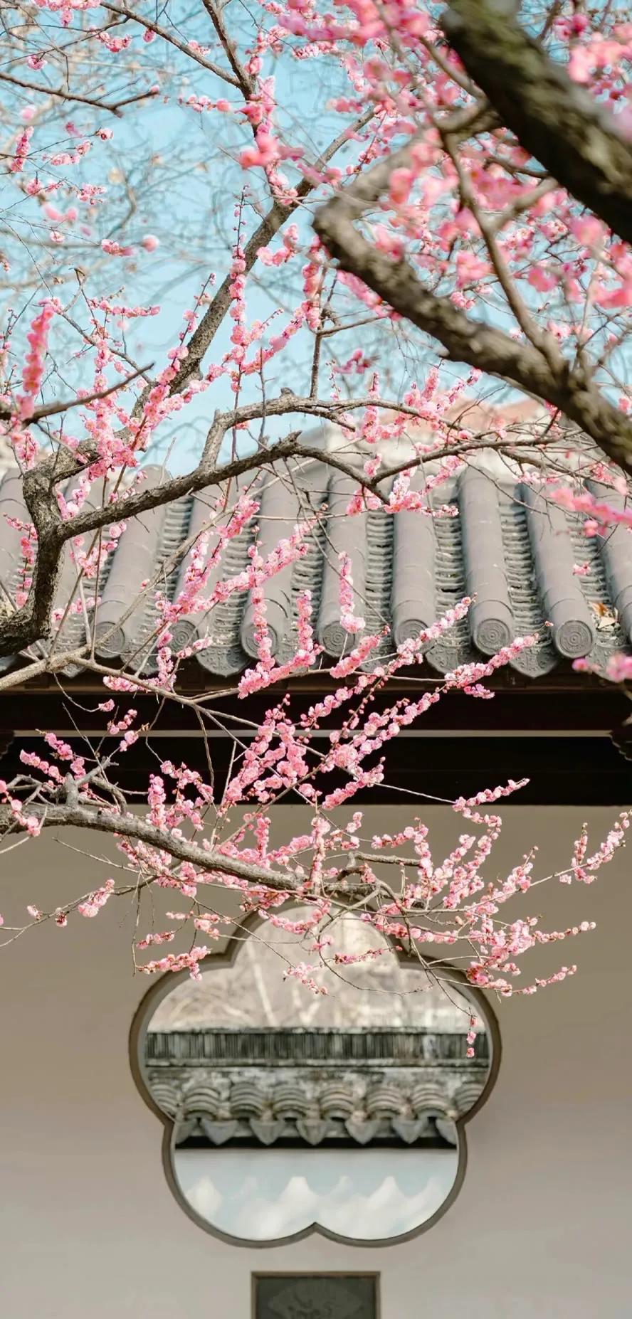 湛蓝的海水海滩风景高清壁纸,高清壁纸8k全屏无水印风景