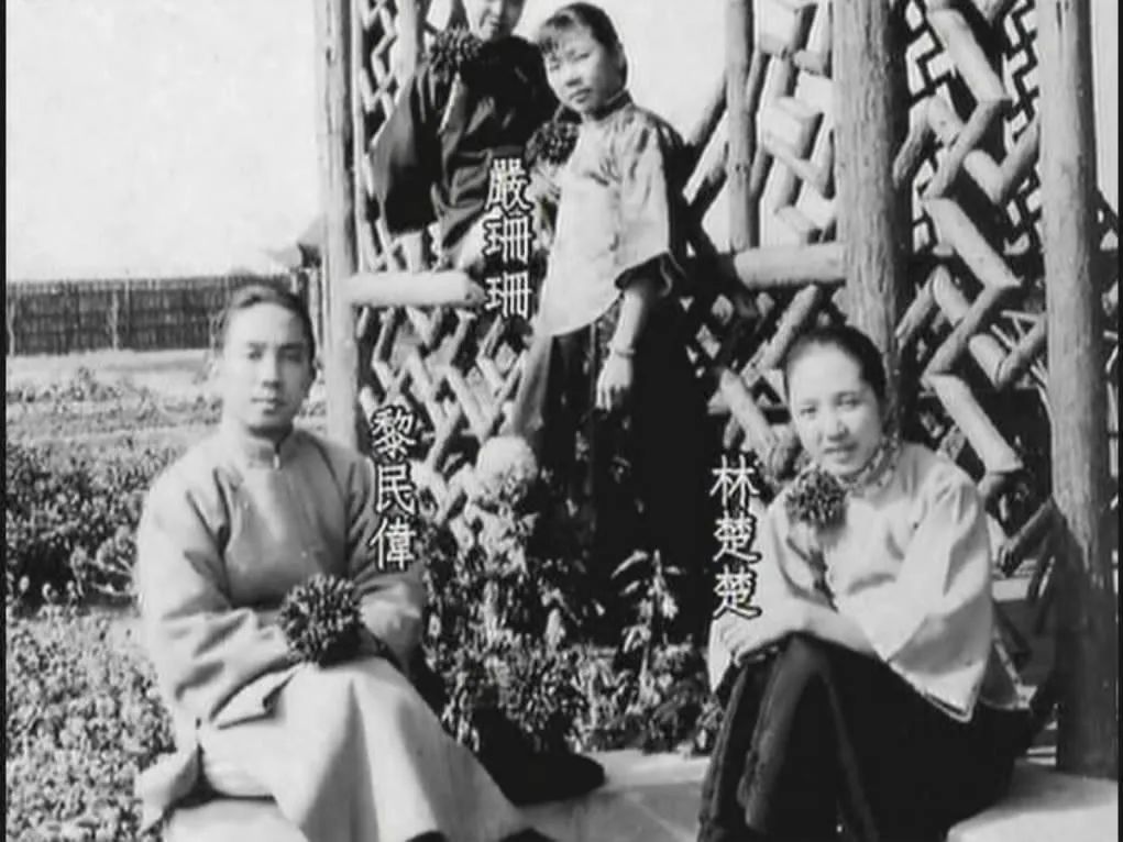 嘉禾邵氏电影如今现状,曾经辉煌一时的香港邵氏电影公司