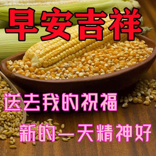 早安微笑语录经典句子,2020年经典早安心语语录锦集80条