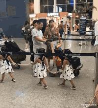 学生适合在宿舍里养的小宠物,在宿舍偷偷养的小宠物