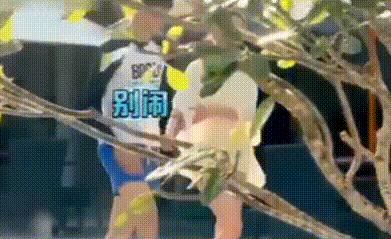 揭秘娱乐圈乱象的女艺人,娱乐圈中被骗得最惨的女明星