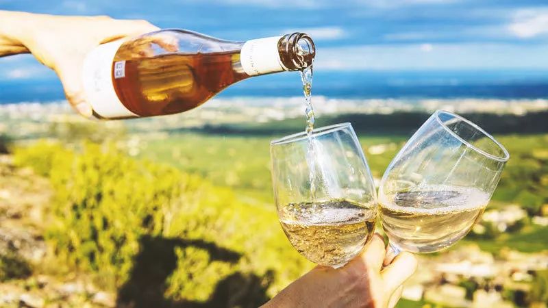 澳洲最值得收藏的葡萄酒,收藏葡萄酒推荐排行榜前十名