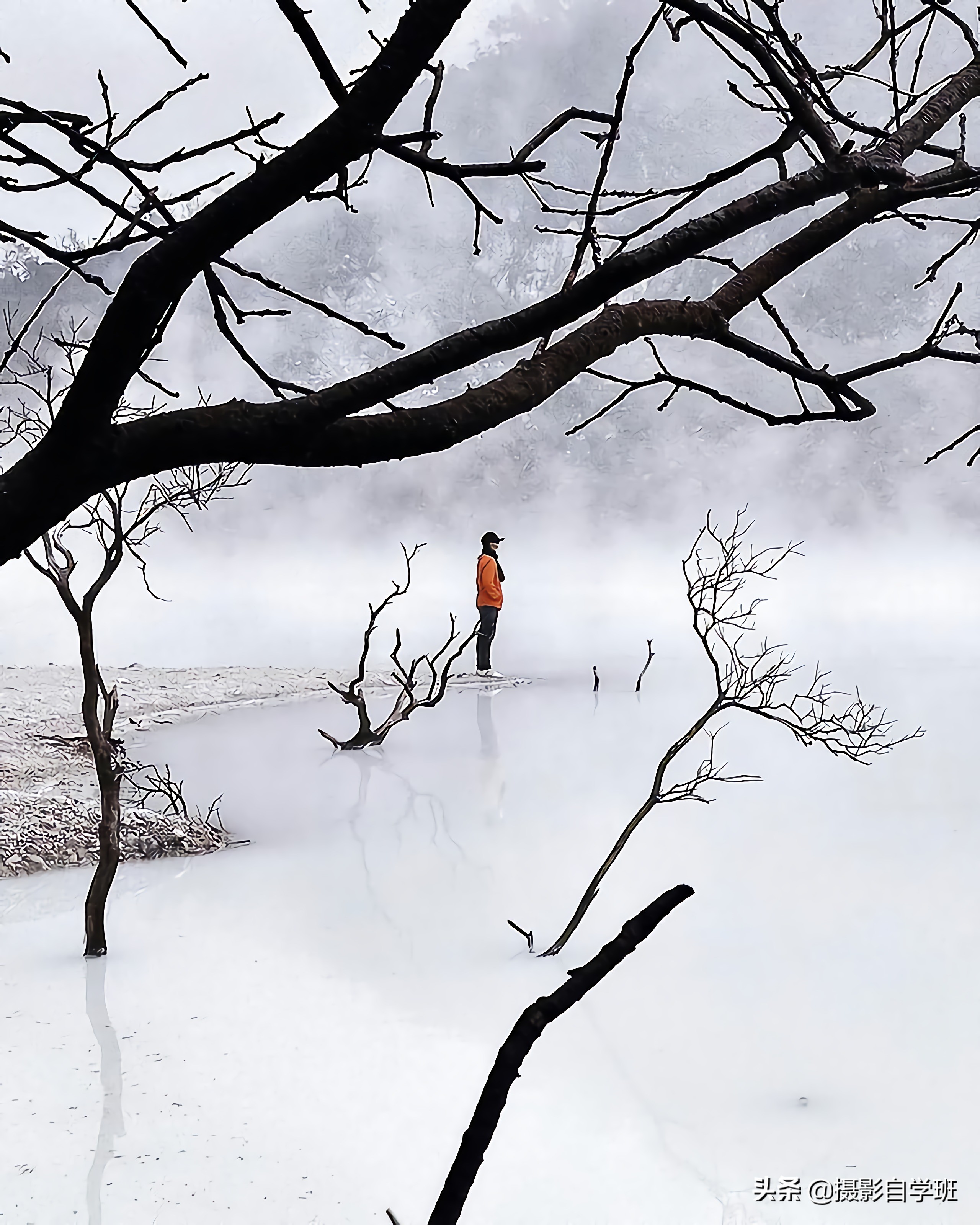 摄影技巧如何才能拍出好看的照片,摄影技巧如何拍出照片效果