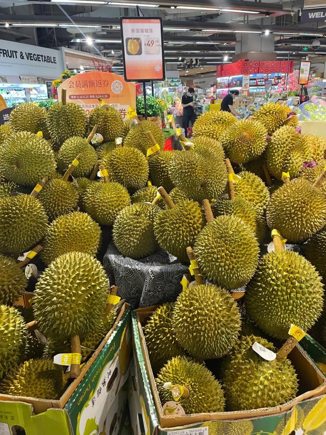 榴莲批发泰国榴莲品种大全,在哪里能买到真正的泰国榴莲