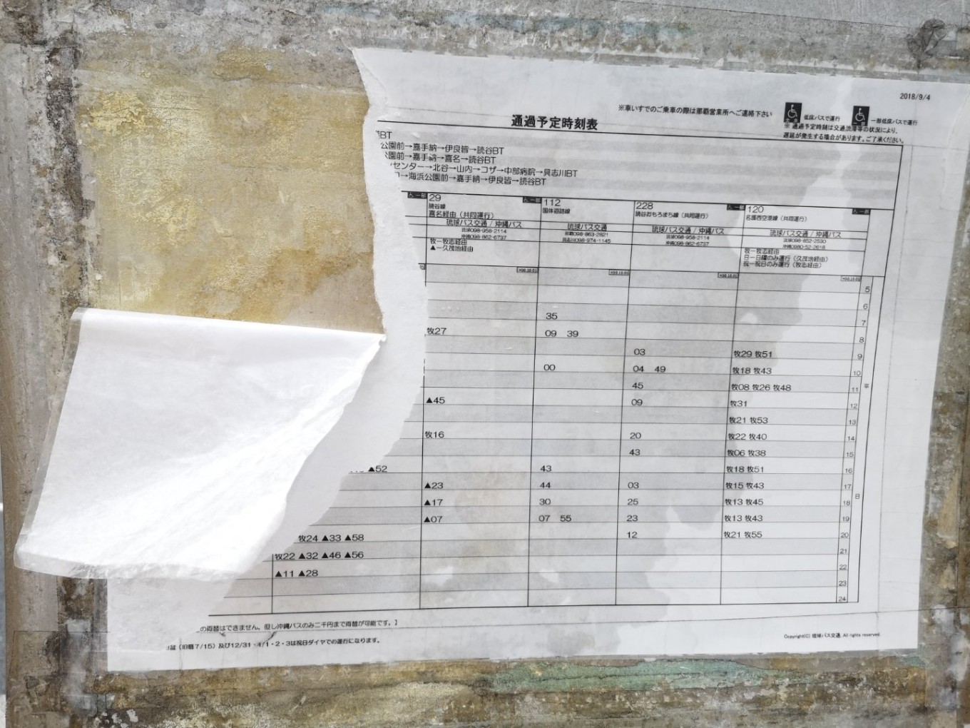 暑期档2019年,2019年暑期档