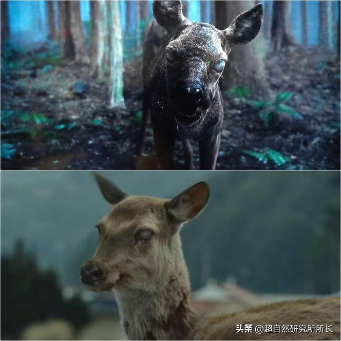 人类真的可能会变丧尸吗,人类有可能变成僵尸吗