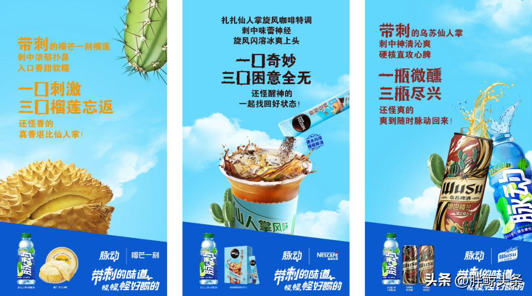 仙人掌味脉动讲解,仙人掌味的脉动原版