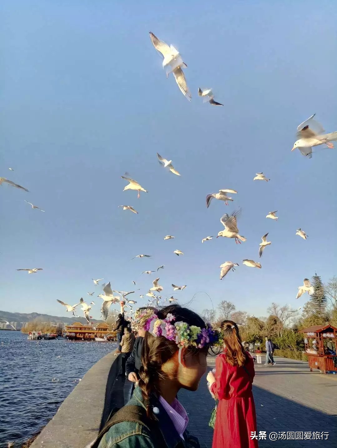 避暑胜地云南昆明,昆明春城避暑时间