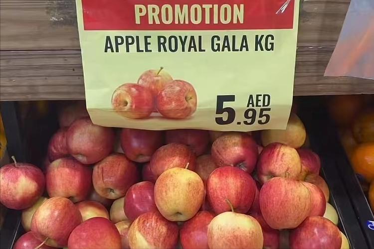 迪拜富得流油可以买什么,为什么说迪拜富得流油