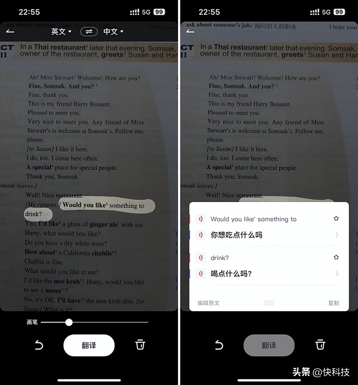 谷歌翻译平替,谷歌翻译哪个版本有拍照翻译