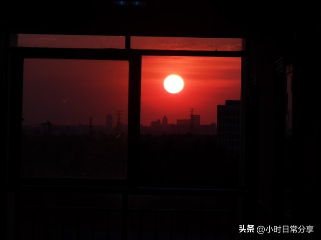 我的前半生子君哪个大学毕业的,我的前半生毕业院校