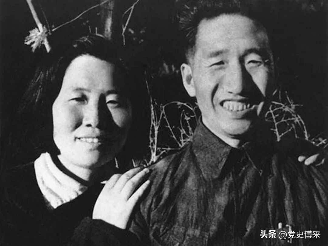 *向前徐**元帅的三条遗嘱中央为何只采用了一条