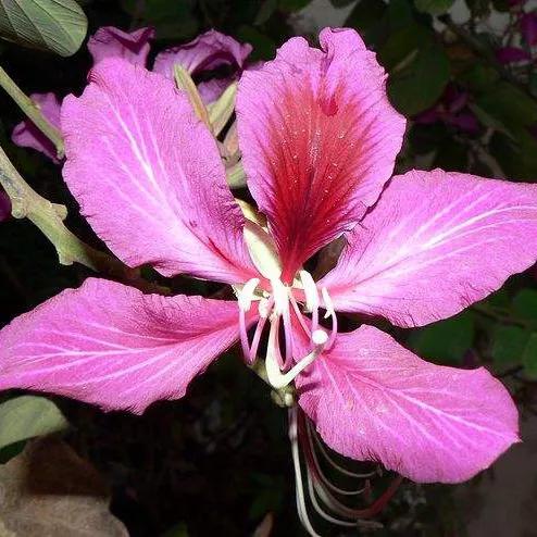 生意合作伙伴不积极怎么办,生意合作伙伴出现问题咋办