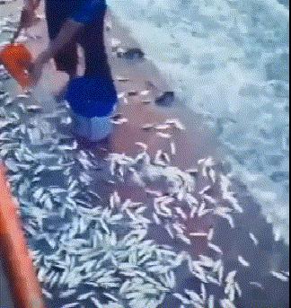 搞笑gif趣图姑娘你怎么这么凶啊,趣图搞笑美女