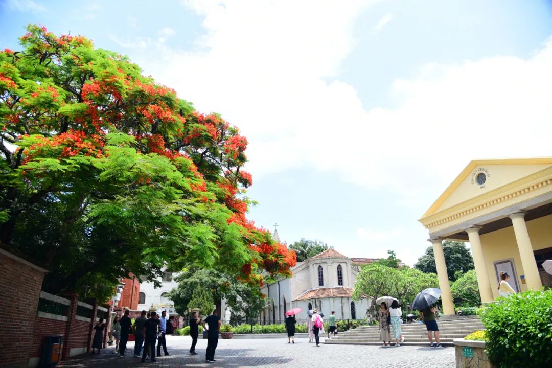 在鼓浪屿,在鼓浪屿是一种什么体验