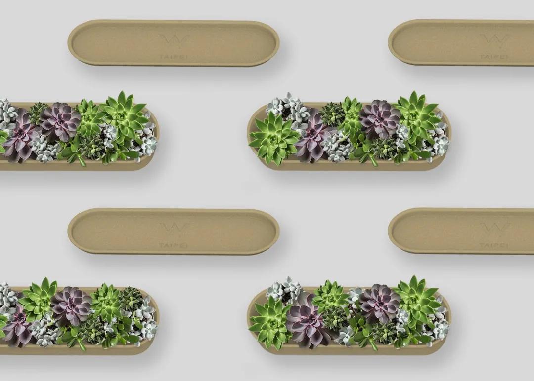 有趣的食品包装创意,可持续发展食品包装