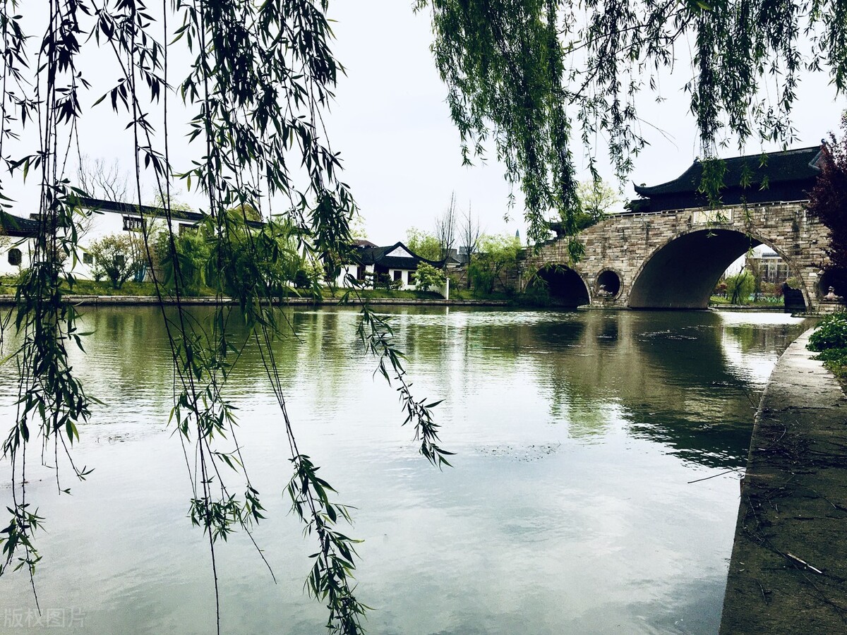 上海踏青2022,上海踏青最佳景点2021