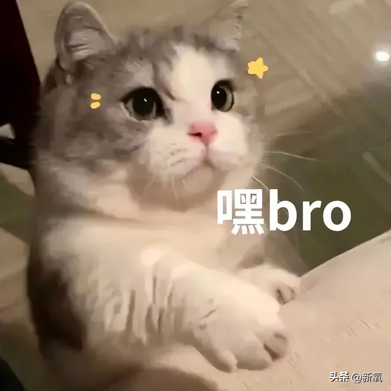 扒一扒旺旺的变美小技巧and搞钱能力