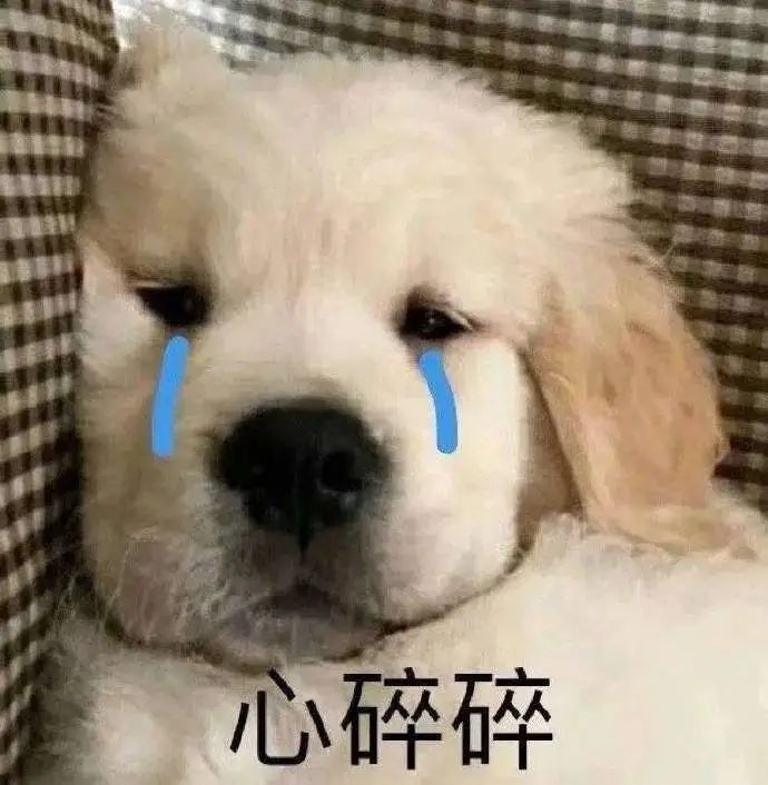 国际快递海运和空运怎么选择,如何寄国际快递最快最便宜