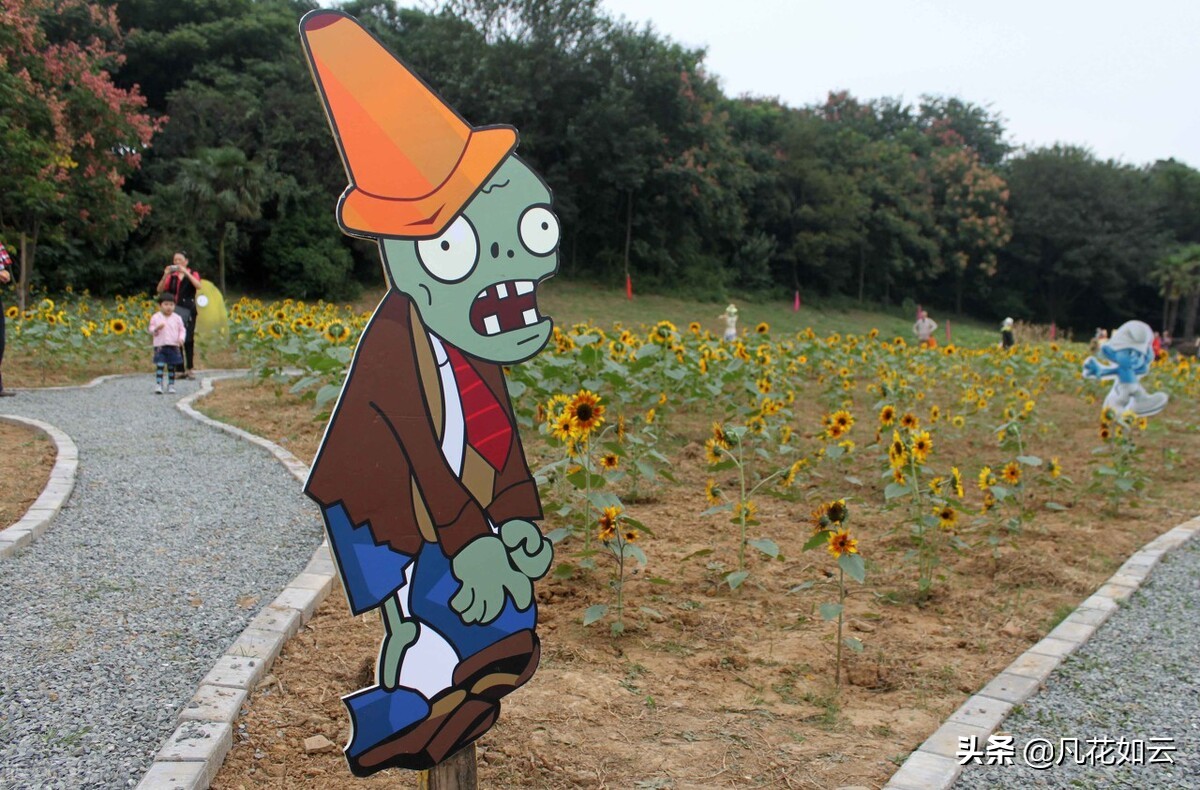 怎么在家玩植物大战僵尸真人版,植物大战僵尸真人版游戏