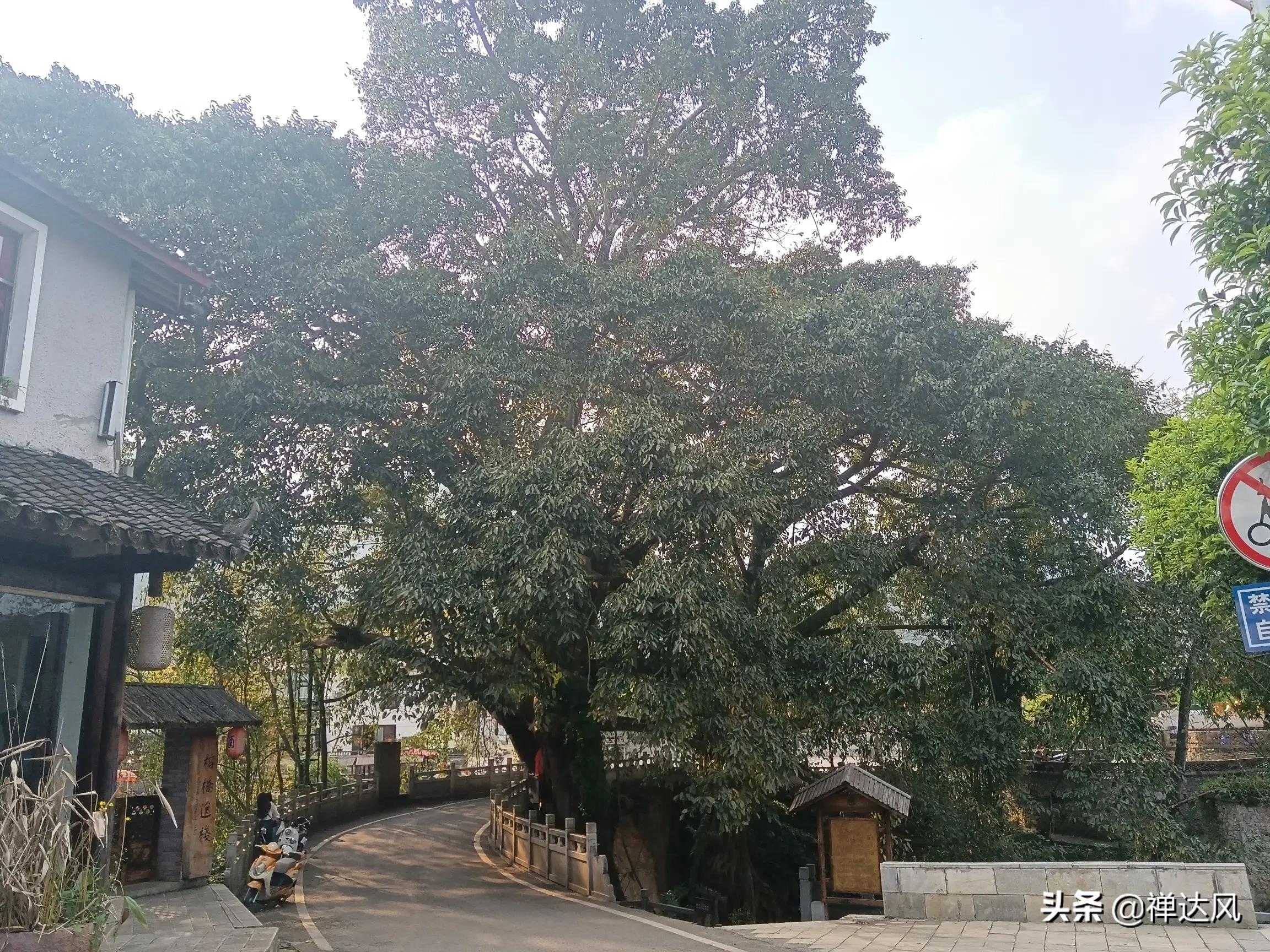 贵州深度旅游自由行,贵州旅游深山攻略