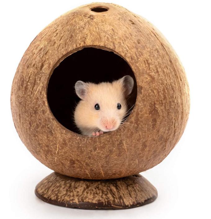 饲养仓鼠用什么垫料最好,养仓鼠必备垫料