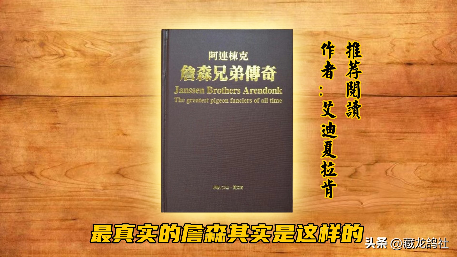 赛鸽幼鸽喂养与管理,幼鸽怎么训才能飞出成绩