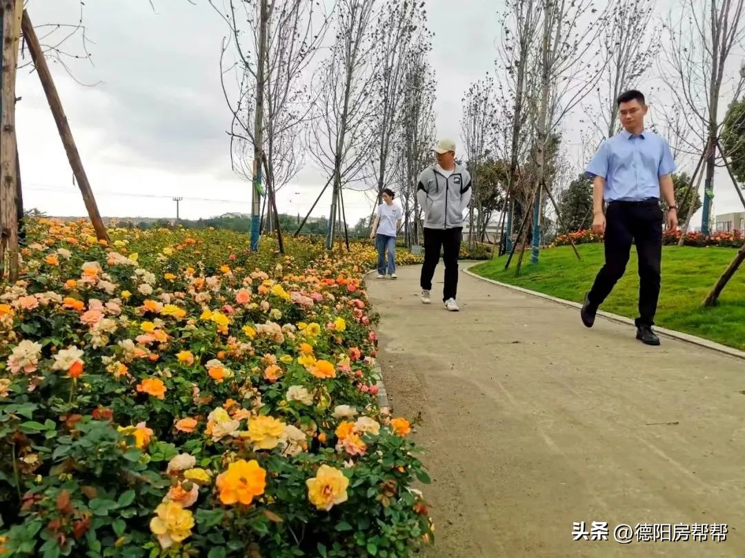 德阳土地拍卖最新信息,德阳中江土地拍卖