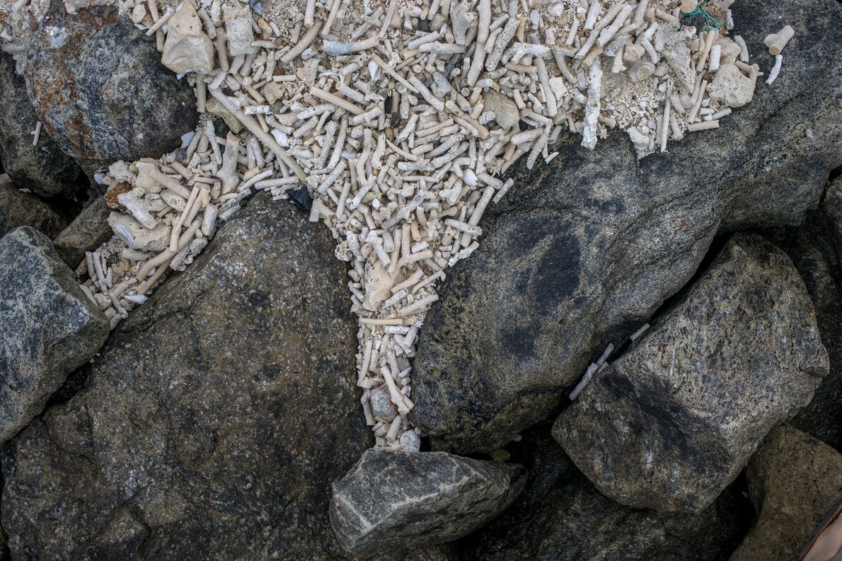 马尔代夫真的消失了吗,马尔代夫还有多少年会消失