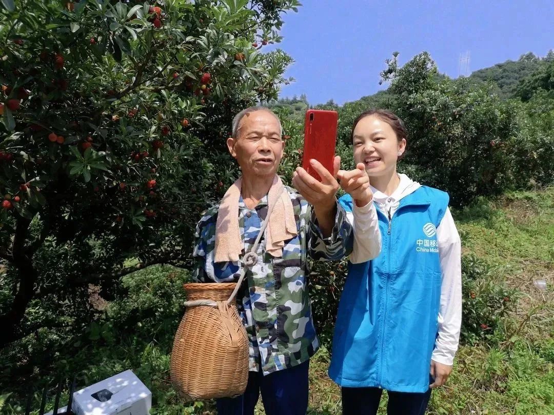 悬念揭晓在即,悬念揭晓视频