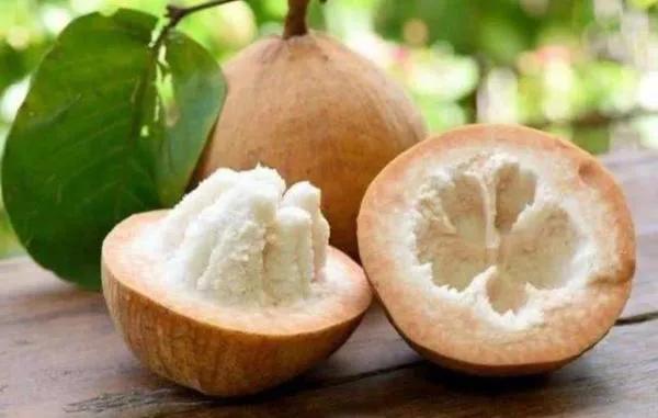 100多种罕见水果欣赏,100种罕见水果名字