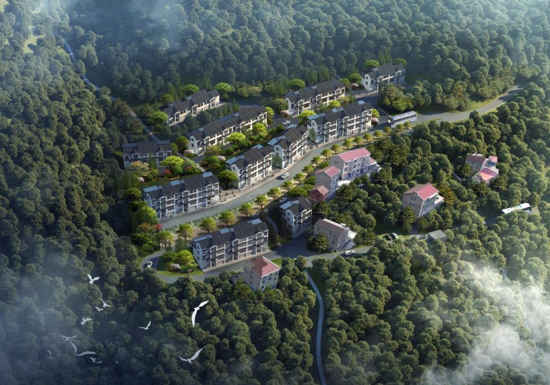 嵊州市深耕案例┃归璞“一庭园三基地”共建农村共富之路