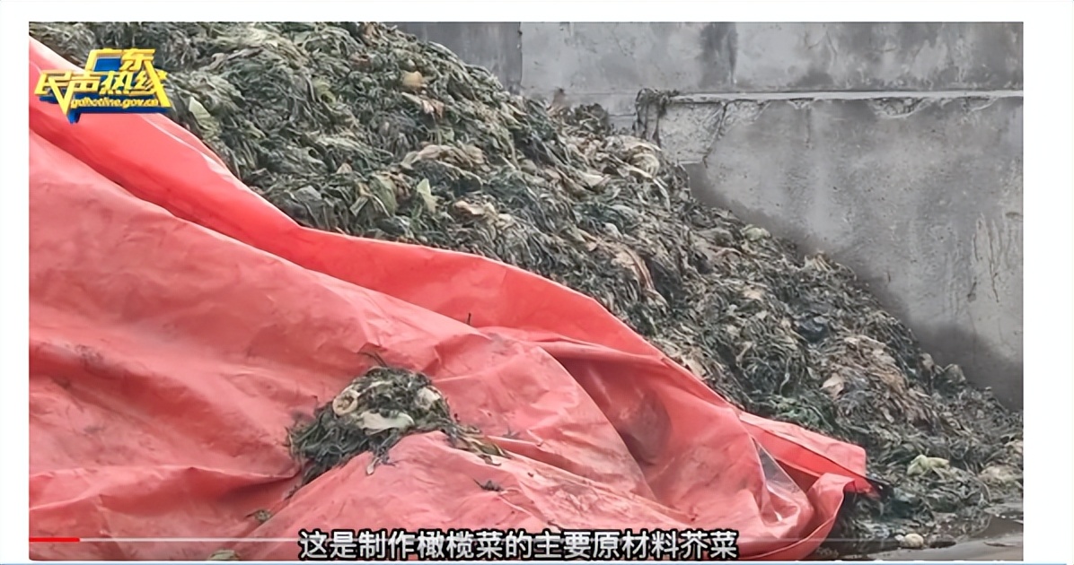 橄榄菜315曝光后果和影响,橄榄菜315曝光还能吃吗