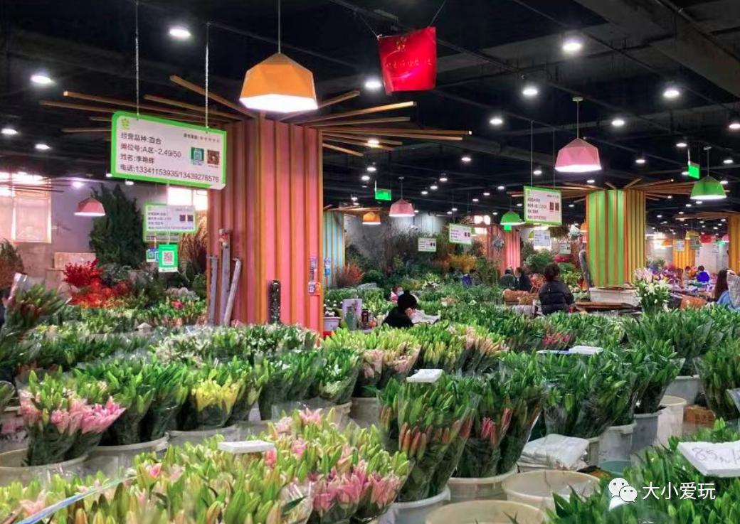 北京最美的花鸟市场,北京值得逛的花鸟市场