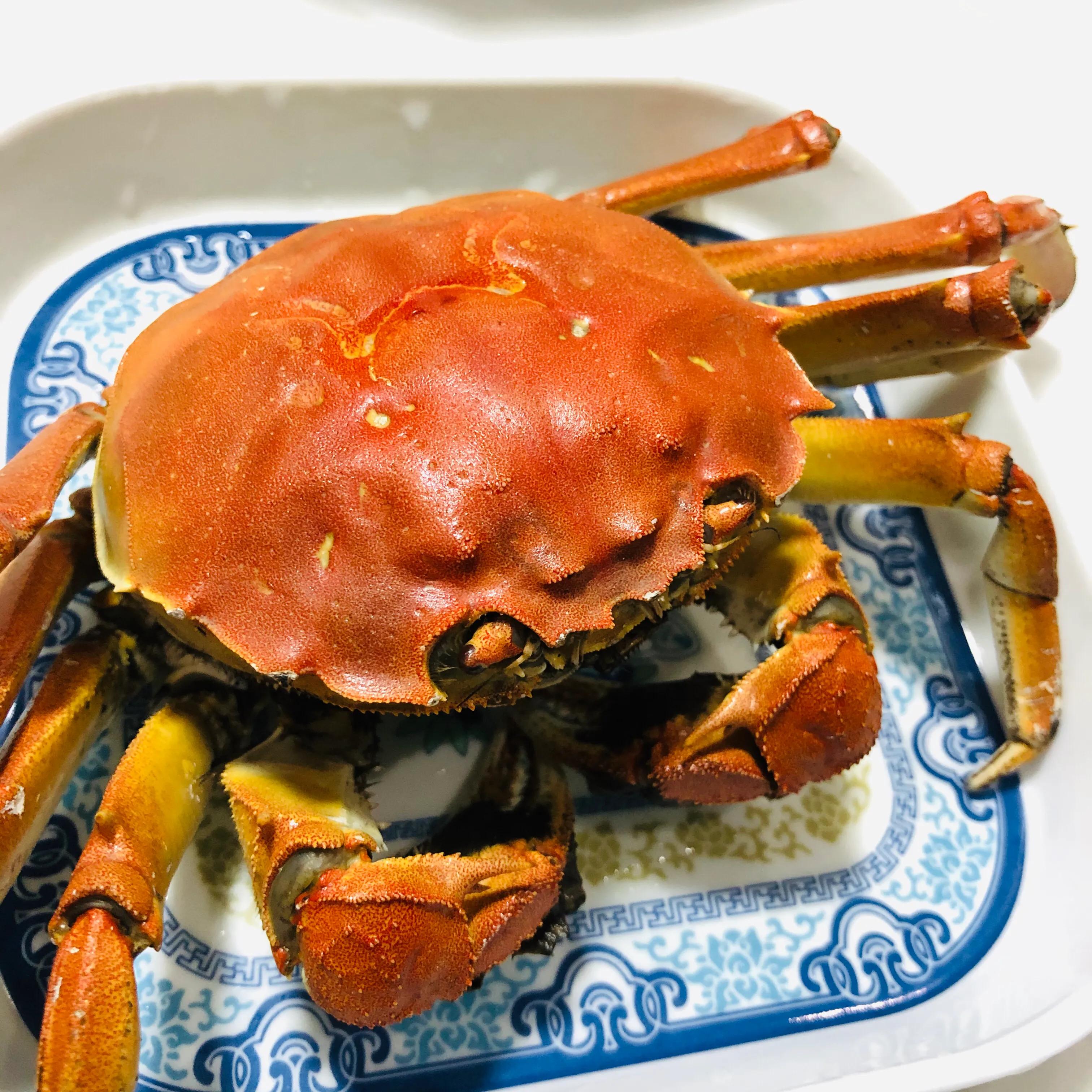 虎年吉祥康健万事顺意,虎年吉祥万事顺意阖家安康