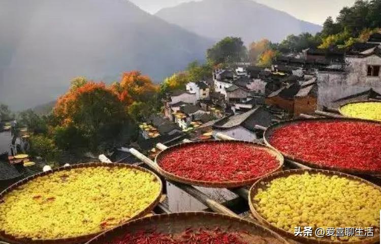 重阳节的禁忌和适合做什么,重阳节忌讳吃什么